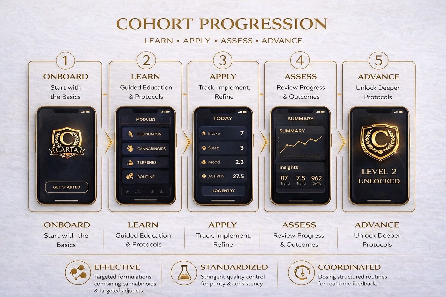 Cohort progression