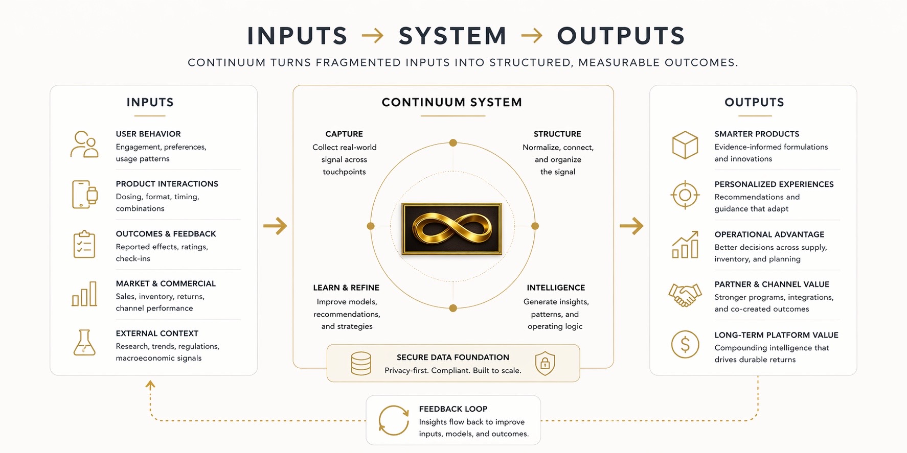 Inputs, system, outputs diagram
