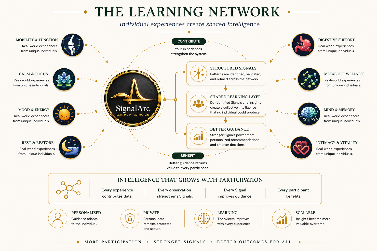 The SignalArc learning network