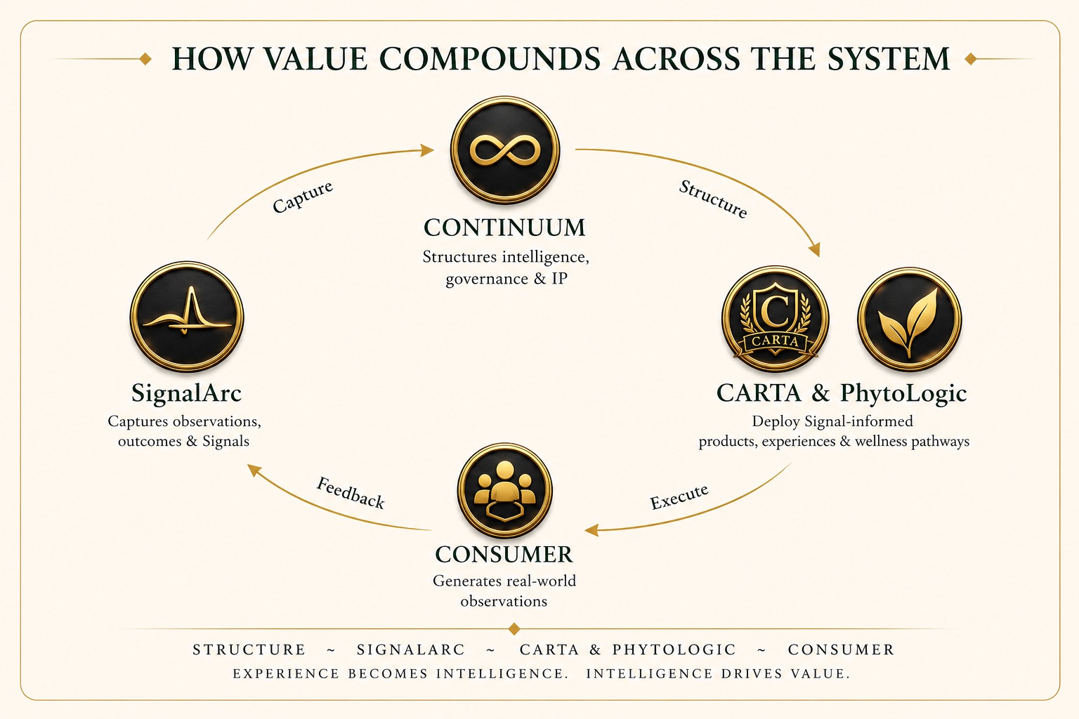 How value compounds across the Continuum system